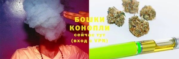 бошки Арсеньев