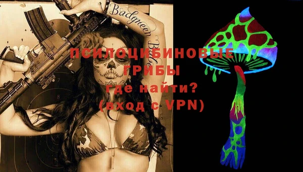 индика Аркадак