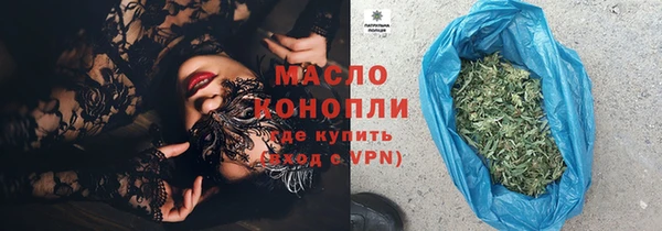 индика Аркадак