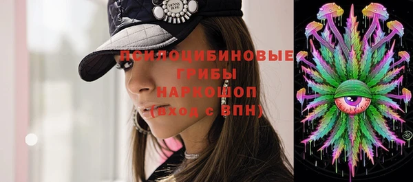 бошки Арсеньев