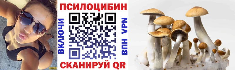 Галлюциногенные грибы GOLDEN TEACHER Волжский