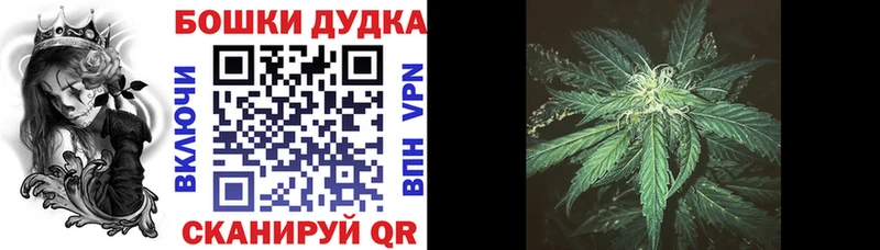 Бошки Шишки план  мориарти официальный сайт  Волжский 